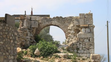 Ruined ancient stone arch with a stork perched on top, surrounded by shrubs and village buildings under a hazy sky