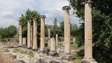 Row of ancient columns at Aphrodisias archaeological site
