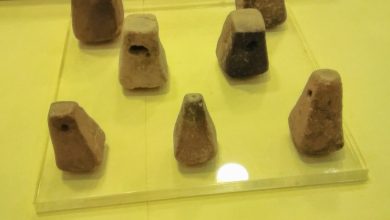 Seven clay loom weights from the Daskyleion ruins in a museum display case, with a bilingual museum label.