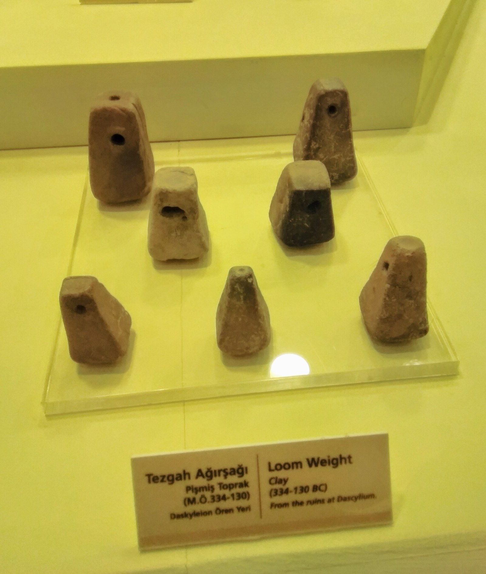 Seven clay loom weights from the Daskyleion ruins in a museum display case, with a bilingual museum label.