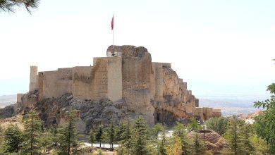 Harput Castle, a stone fortress on a rocky hilltop with a red Turkish flag, surrounded by pine trees and a wide valley behind.