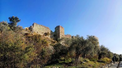 Ruined stone castle walls and towers on a hilltop above olive trees and a paved path under a clear blue sky