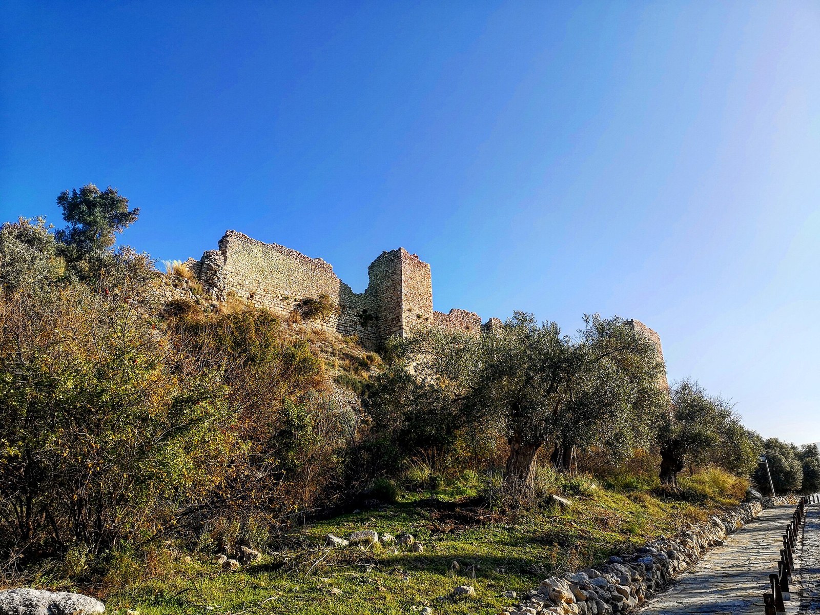Ruined stone castle walls and towers on a hilltop above olive trees and a paved path under a clear blue sky