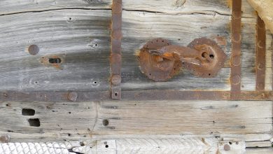 Close-up of an old wooden door with rusty iron hardware, including a decorative latch and studded bands.