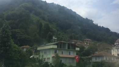 Forested Black Sea hillside with tea terraces above village houses and a Turkish flag hanging from a green building