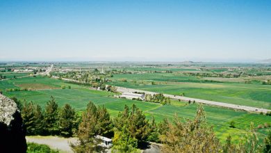 Aerial view of green farmland and a highway running across a wide plain, seen from a hillside with pine trees and a distant minaret