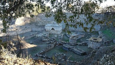 Stone ruins of an ancient site seen through oak branches, with excavated walls, wells and a wooden walkway in the background