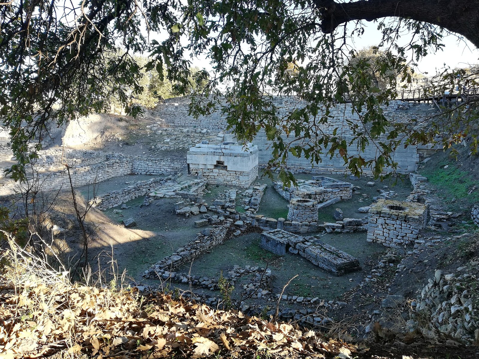 Stone ruins of an ancient site seen through oak branches, with excavated walls, wells and a wooden walkway in the background