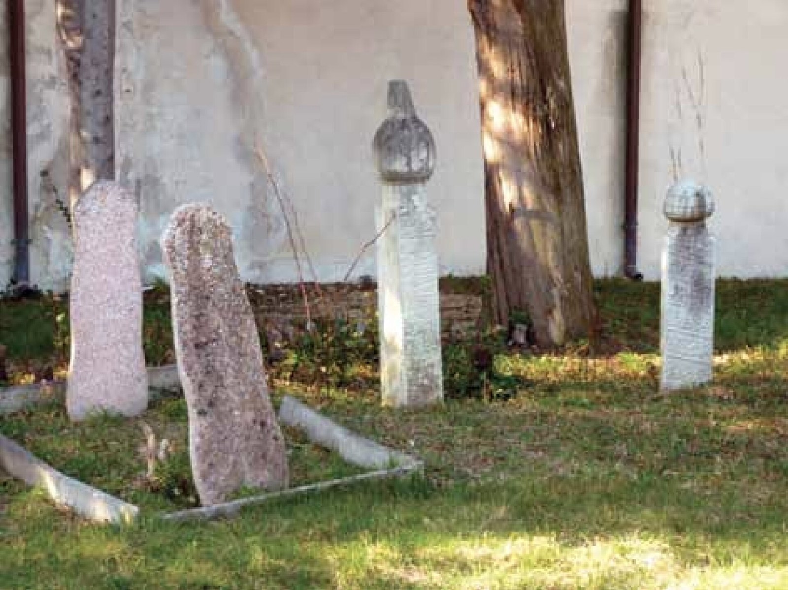 Old stone Ottoman-style gravestones, some with carved turban tops, stand on grass in front of a white wall and a tree.