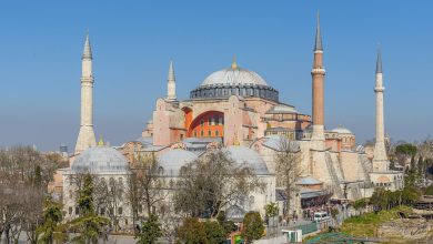 Hagia Sophia in Istanbul under a clear blue sky, with its large central dome, four minarets and bare trees in the foreground